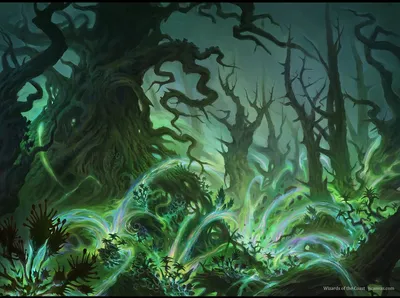 Shimmerwilds Growth