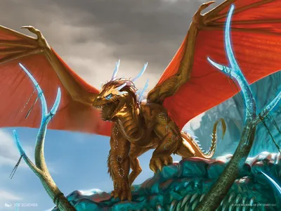 Karakyk Guardian 1