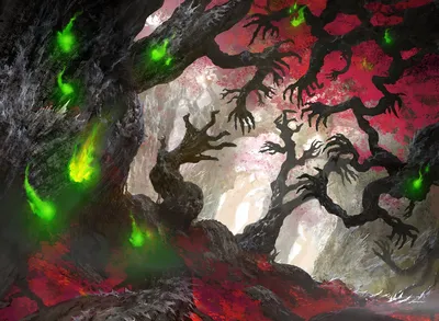 Dormant Grove