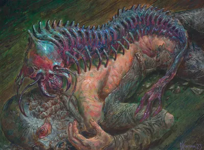 Spineseeker Centipede