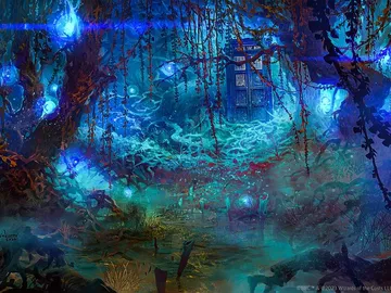 Swamp 2
