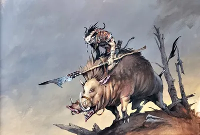 Boartusk Liege