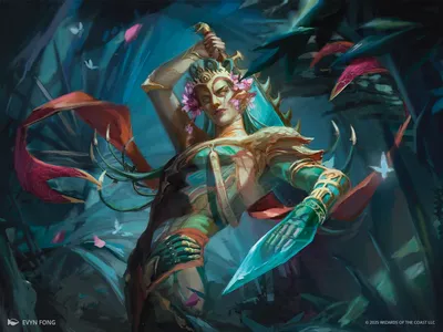 Kotis, the Fangkeeper 1