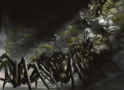 Spider Spawning