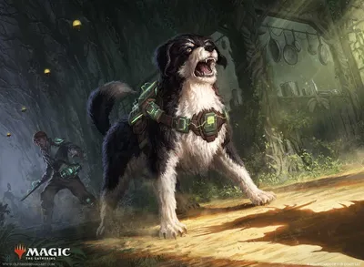 Wary Watchdog
