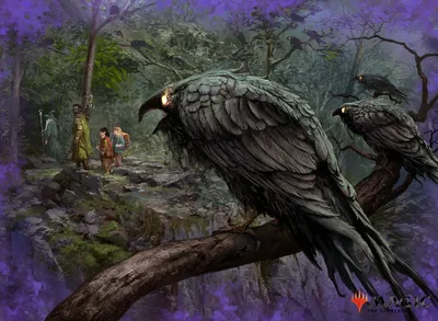 Revenge of Ravens