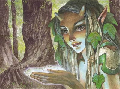Elvish Harbinger