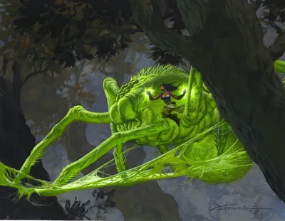 Spider Umbra