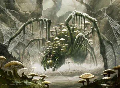 Sporecap Spider