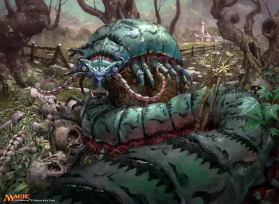 Moldgraf Millipede