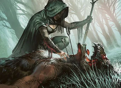 Woodland Sleuth