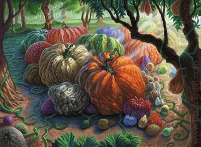 Fertile Ground