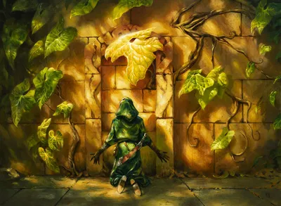 Acolyte of Bahamut 1