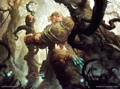 Turntimber Ascetic