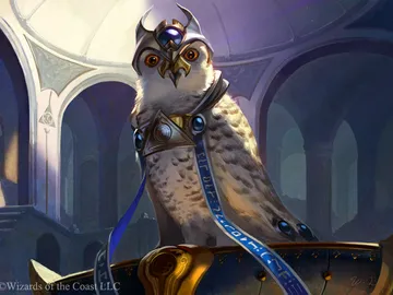 Judge's Familiar