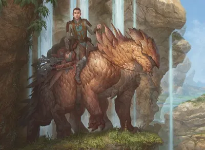 Veteran Adventurer
