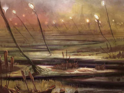 Marsh Flats