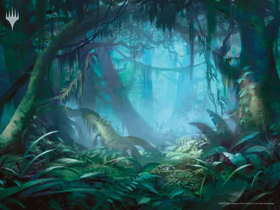 Misty Rainforest