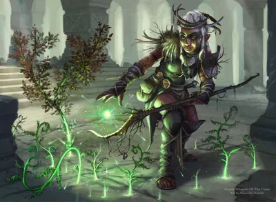 Circle of the Land Druid