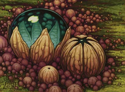 Incremental Growth