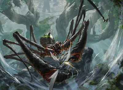 Skyfisher Spider