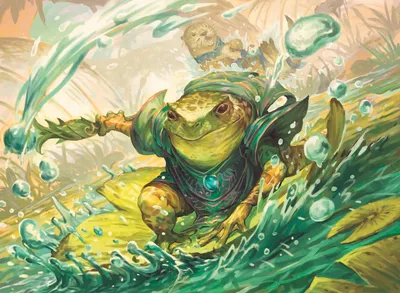 Lilysplash Mentor