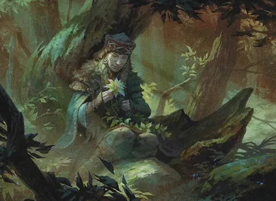 Weaver of Blossoms