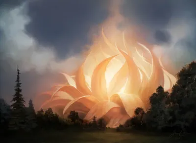 Sunpetal Grove