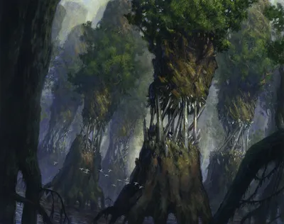 Evolving Wilds