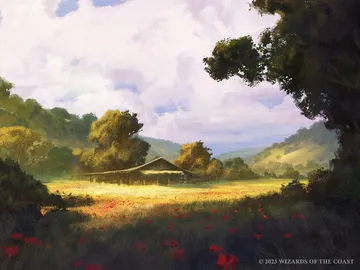 Carpet of Flowers 1