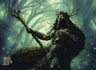 Questing Druid 1