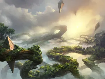 Canopy Vista