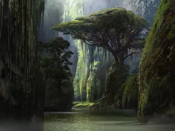 Jungle Hollow