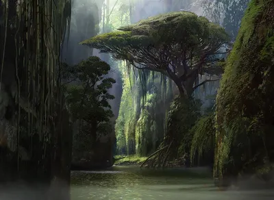Jungle Hollow
