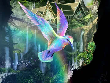 Birds of Paradise