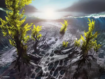 Evolving Wilds