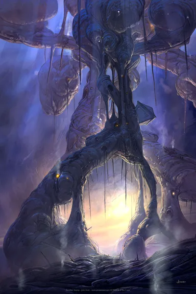 Swamp 1