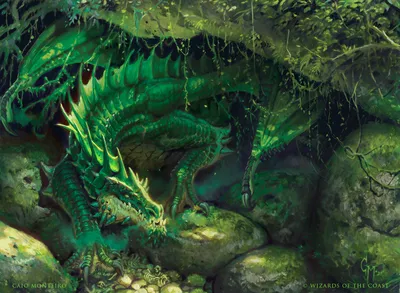 Lurking Green Dragon