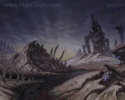 Swamp 2