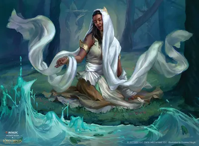 Elvish Visionary