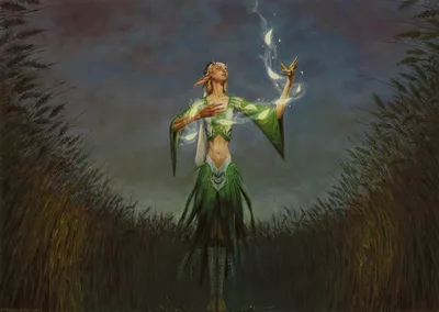Seedcradle Witch