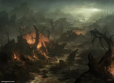 Swamp 4