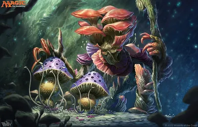 Myconid Spore Tender