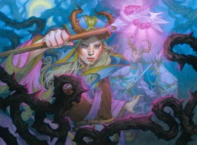 Stoic Grove-Guide