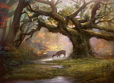 Forest 3