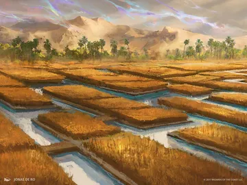Irrigated Farmland