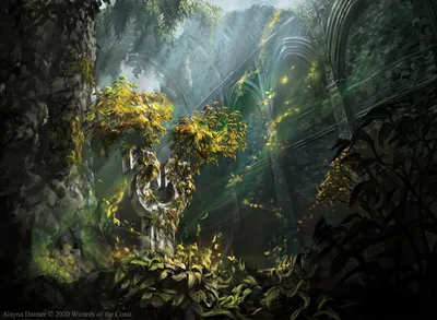 Natural Reclamation
