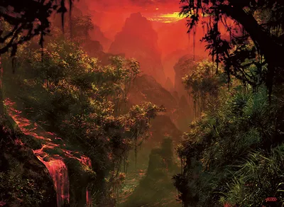 Forest 1