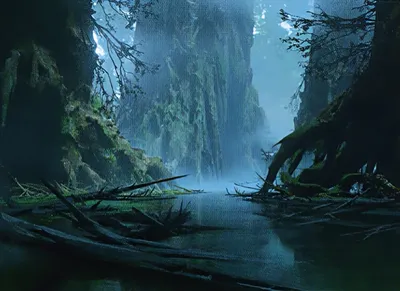 Dismal Backwater