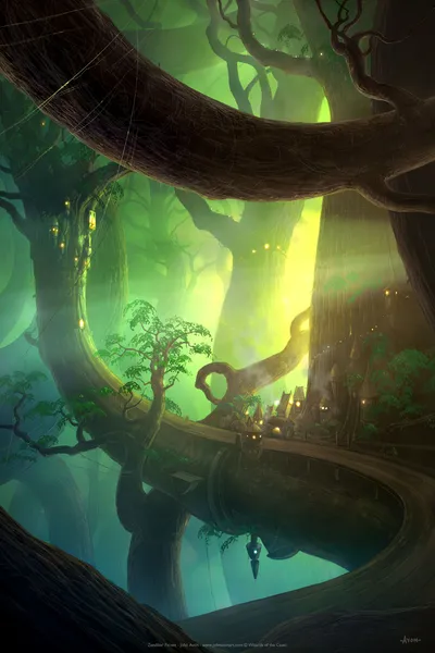 Forest 1